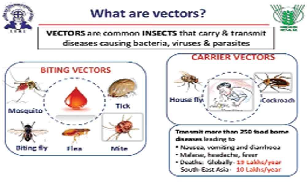 Vector-borne diseases on the rise in hyderabad city