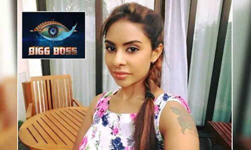 Sri Reddy to be a part of Bigg Boss Telugu Season 3?