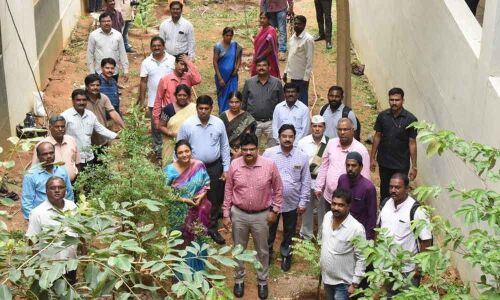 Every office should be Haritha Vanam