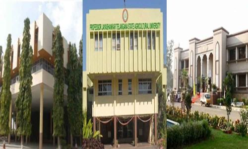 Professor Jayashankar Telangana State Agricultural University ranked no. 1 agricultural varsity in South