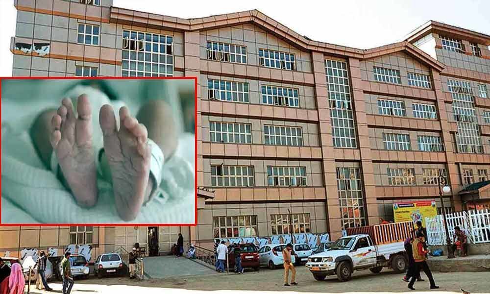 J&K child rights body to hold inquiry into death of twins at govt hospital