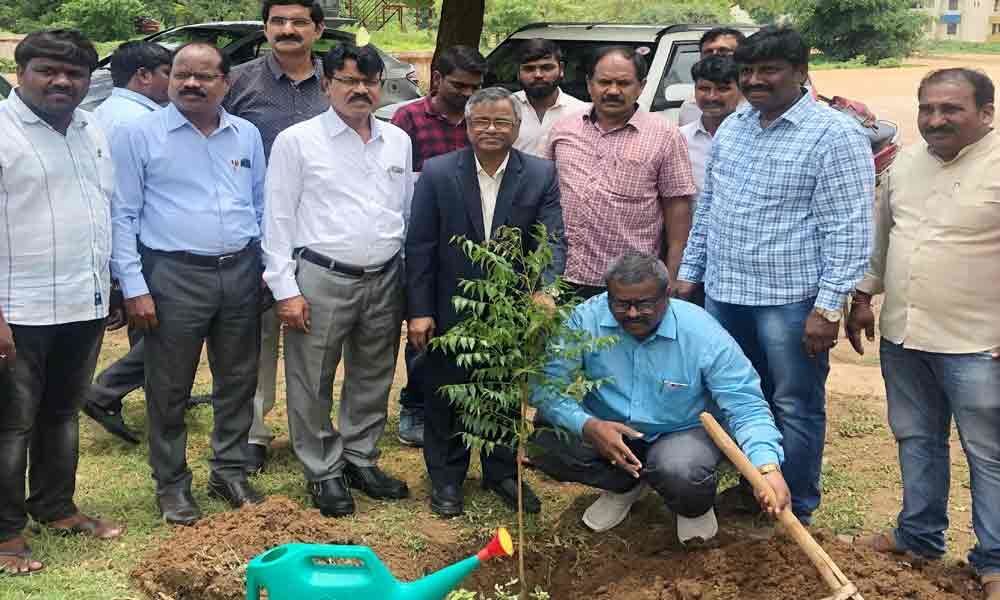 VC exhorts students, teachers to protect trees in Kakatiya University