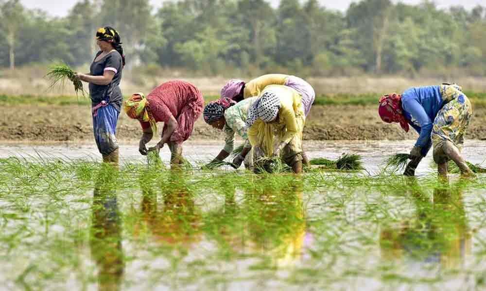 Farmers queue up for MGNREG Scheme to eke out a living