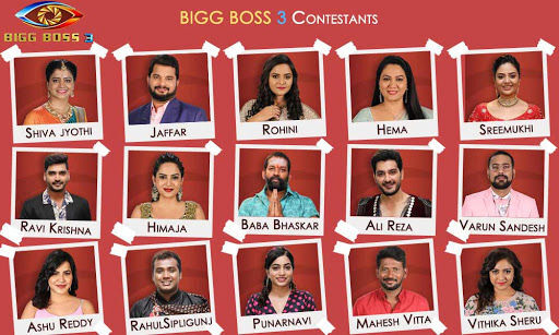 Bigg Boss Telugu Season 3: 15 Contestants List