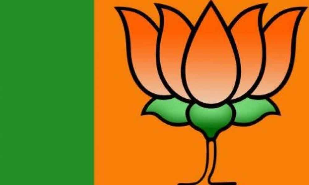 BJP leaders elated over public response