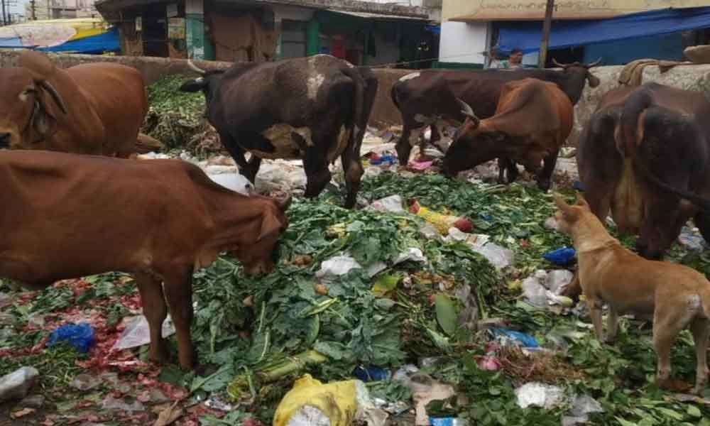 Garbage piles up in Monda Market