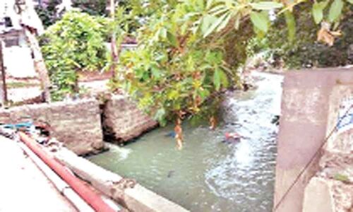 Local residents bear brunt of open nala