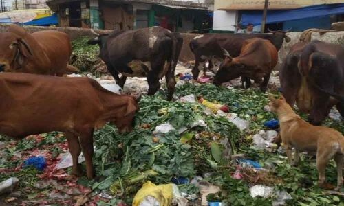 Garbage piles up in Monda Market
