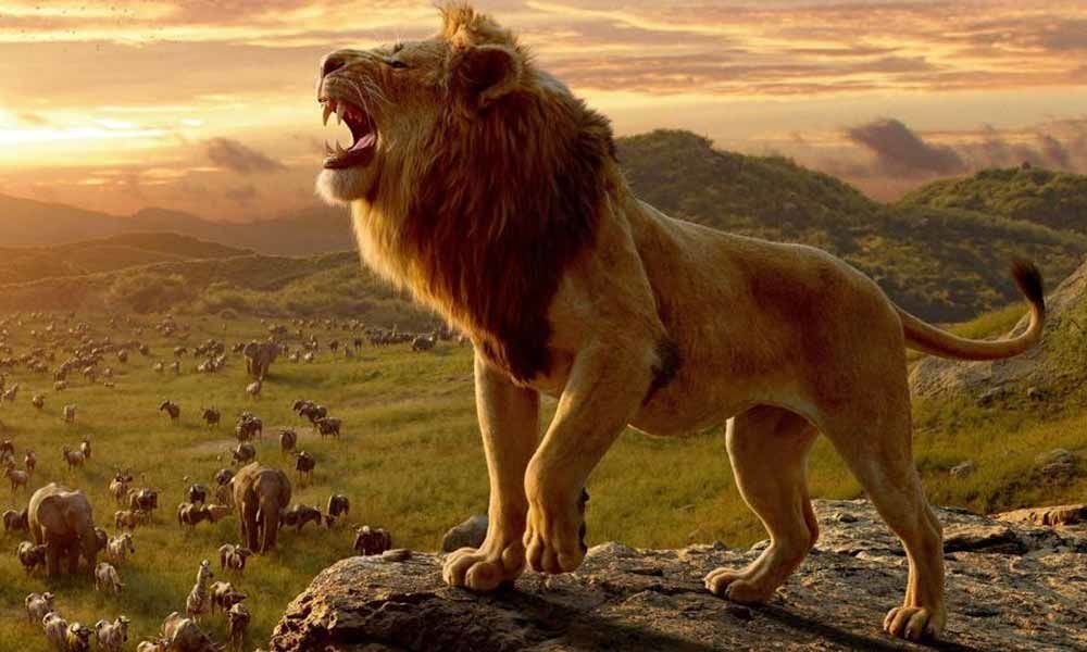 Lion King First Weekend Box Office Report