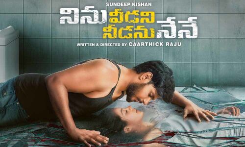 Ninu Veedani Needanu Nene First Week Collections Report