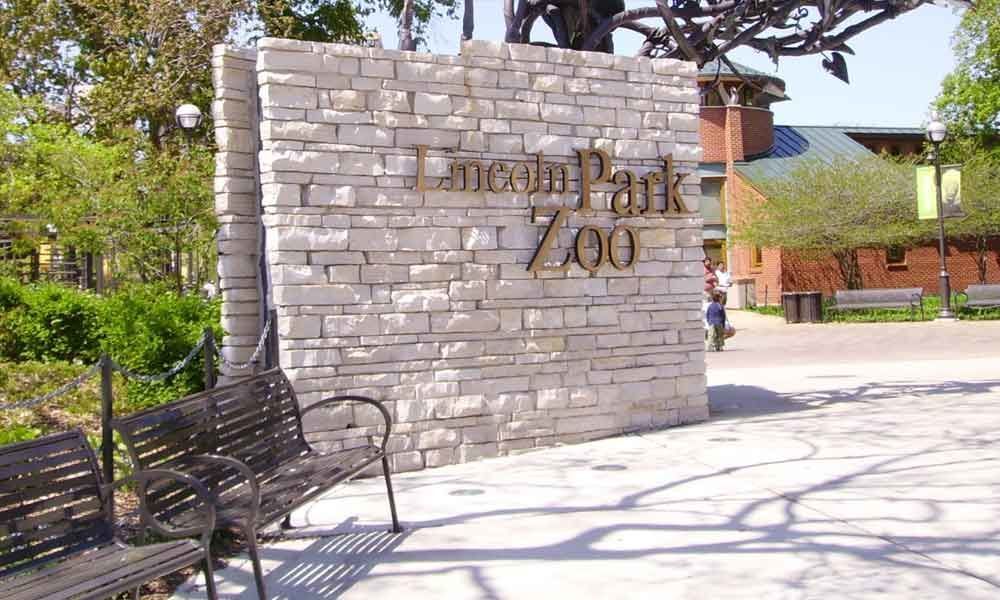 Chicagos Lincoln Park Zoo to remain free until mid-century