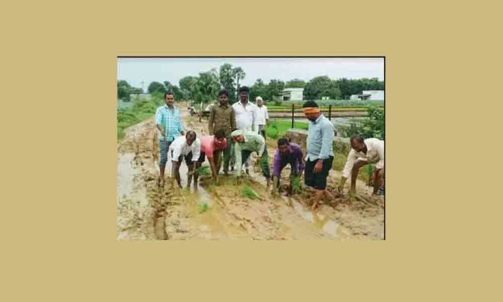 Villagers sow paddy on road in Peddapalli