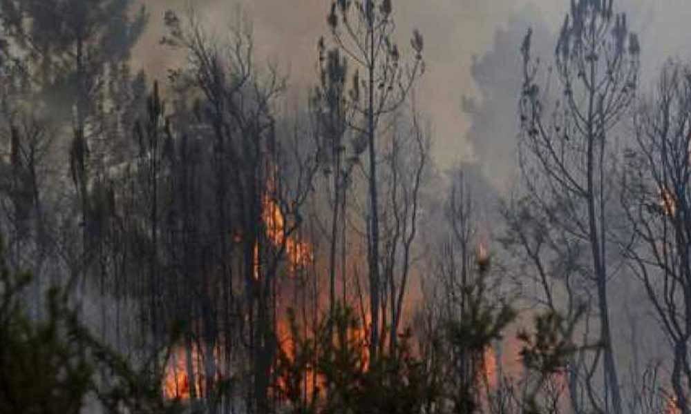 Global warming: Siberia forest fires spark potential disaster for Arctic