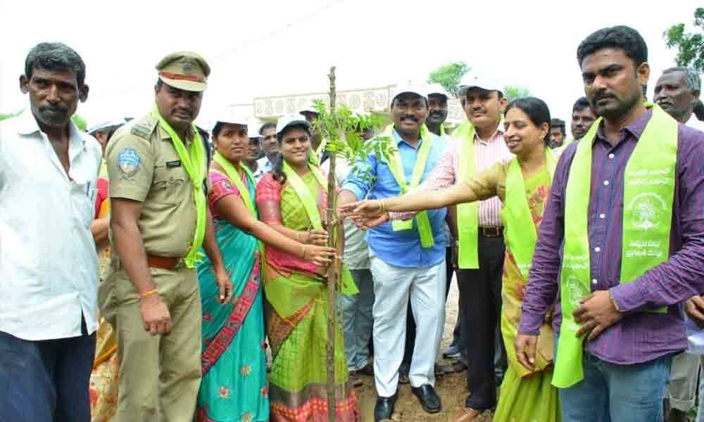 MLA asks people to take care of planted saplings in Jagitial