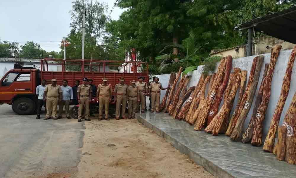 Red sanders logs worth 60 lakh seized; 3 held