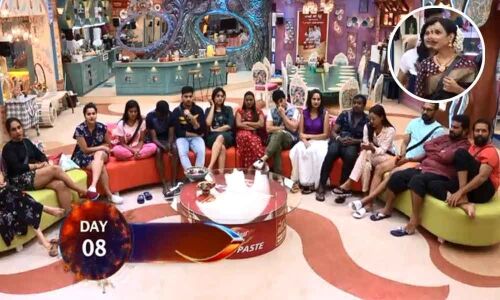 Bigg Boss Telugu Season 3: Episode 9 Highlights