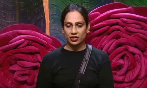 Bigg Boss Snippet: Tamannah Simhadri Manipulating the Housemates