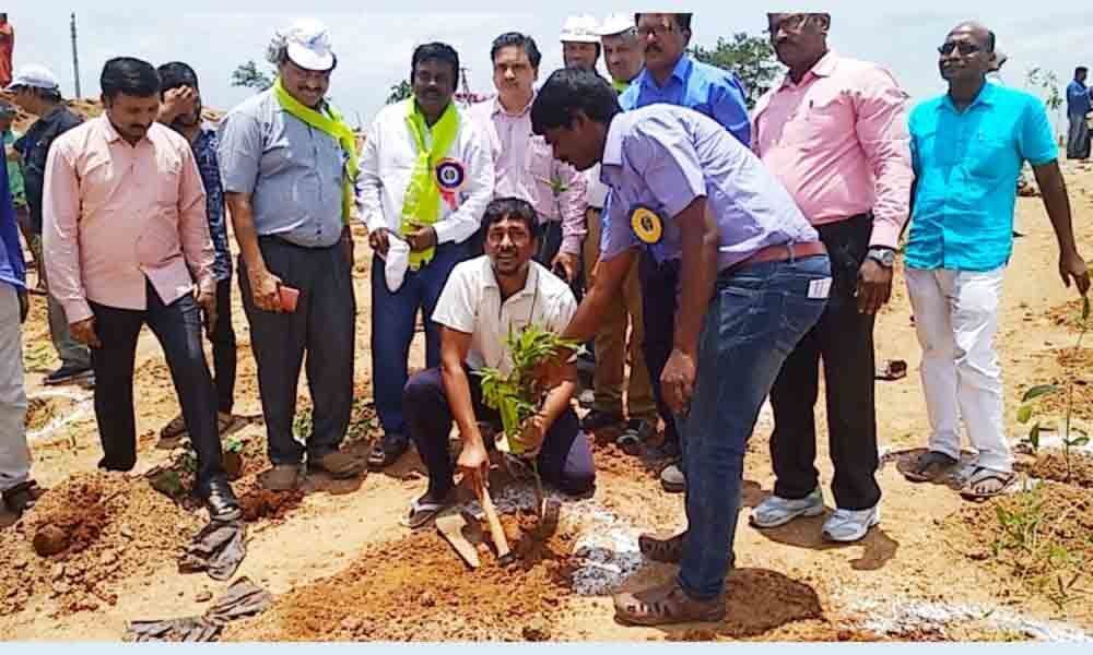 Khammam: Singareni Collieries Company Limited plants 2 lakh saplings in a single day