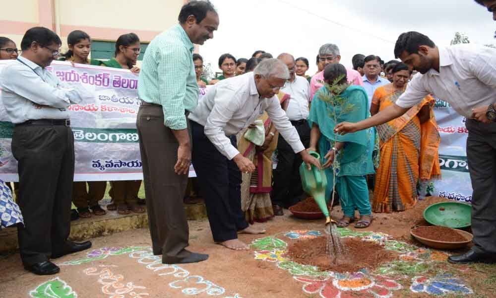 PJTSAU Vice-Chancellor takes part in Haritha Haram