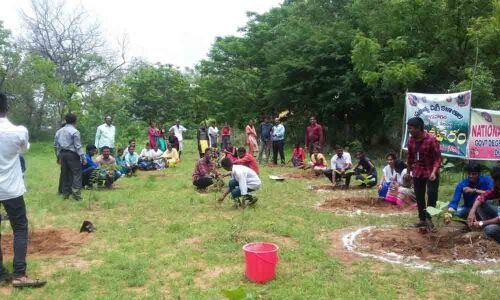 Protection of environment is everyones responsibility in Rajanna Siricilla