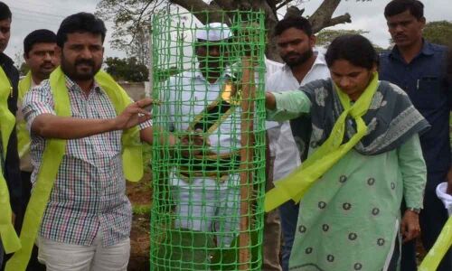 Spread greenery for sake of future gen