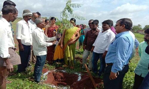 MPTC pitches for green drive