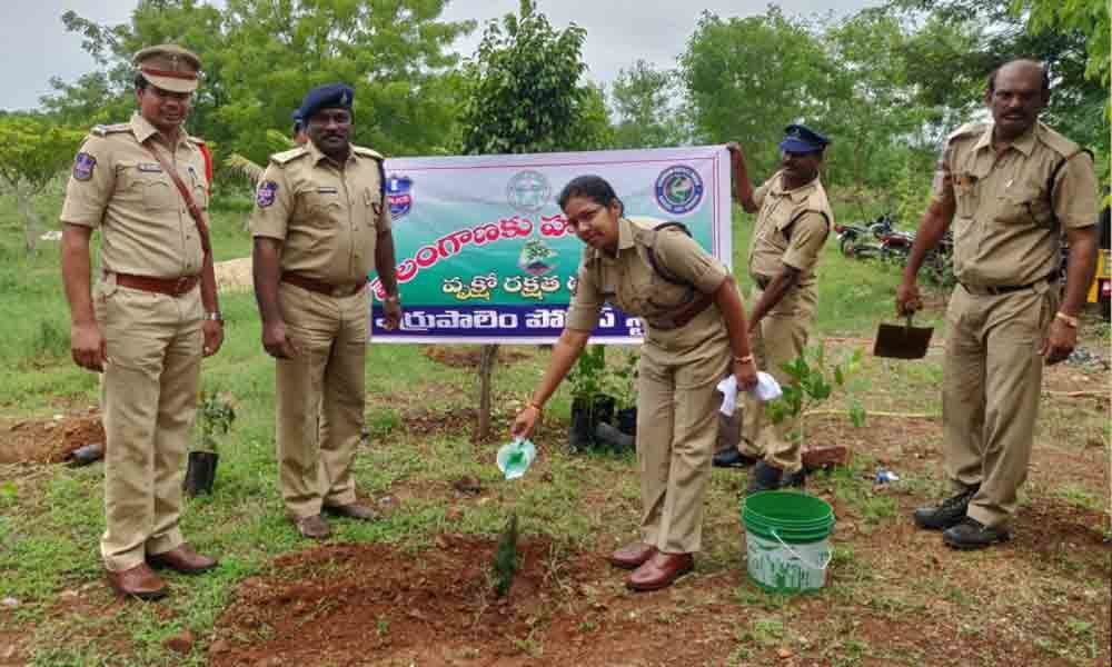 Khammam: Additional DCP takes part in Haritha Haram