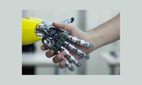 New insect-sized robot can withstand weight of a human