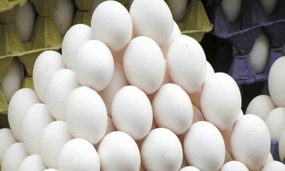 Egg rate falls by 1.50 in Nizamabad