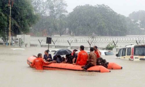 Watch: Crocodiles hunt in flooded Vadodara