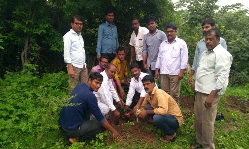 Haritha Haram drive held at MPP office