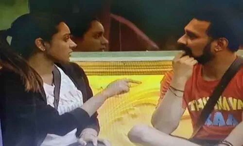 Bigg Boss Season 3: Episode 13 Highlights