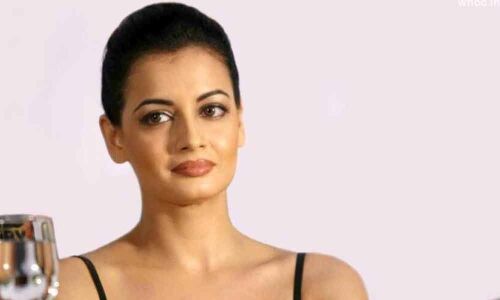 Dont blame Kanika Dhillon for my broken marriage: Dia Mirza