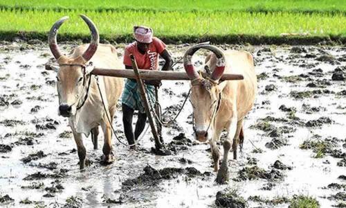 Focus on PRC, farmers loan-waiver in Khammam