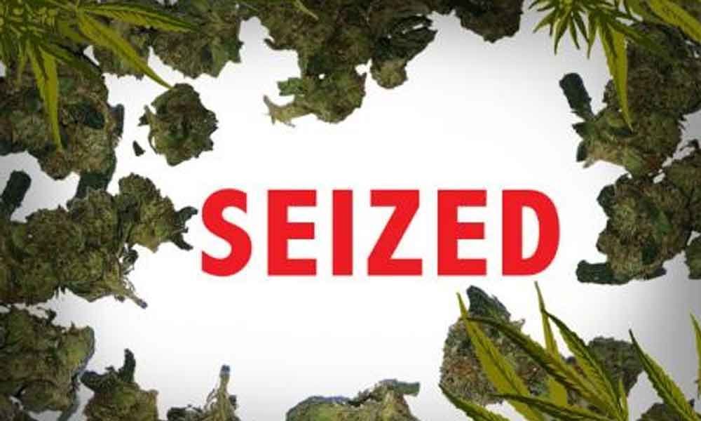 11 kg ganja seized from biker in hyderbad