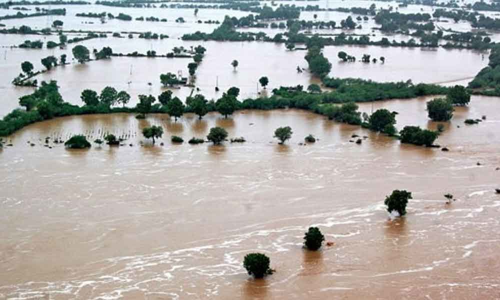 Odisha, Rajasthan See Heavy Rain As Vadodara Recovers From Floods