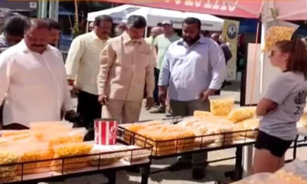 Video of Chandrababus stroll on US streets goes viral