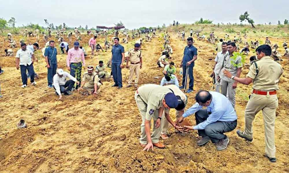 Telangana Forest Department to conduct plantation drive this Sunday in Basuragadi