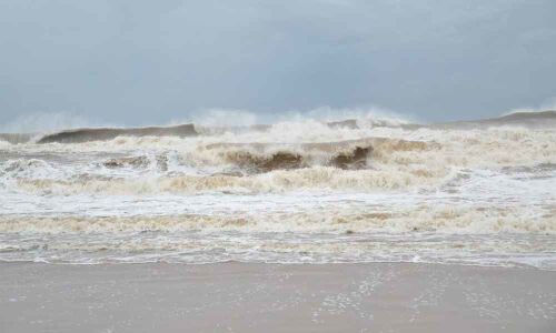 Plantation drive hits a roadblock in Srikakulam