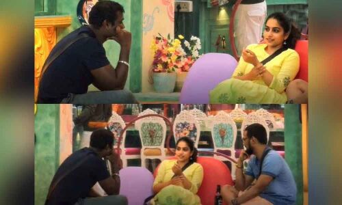 Bigg Boss Telugu Season 3: Tragedy In Punarnavis Life