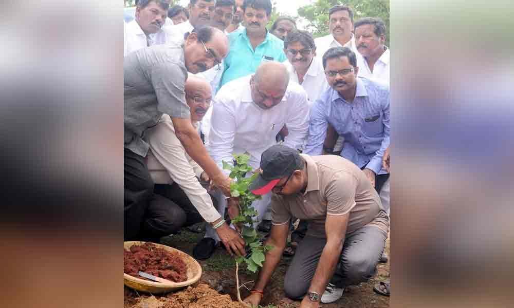 IRIA takes up plantation drive: Malladi Vishnu
