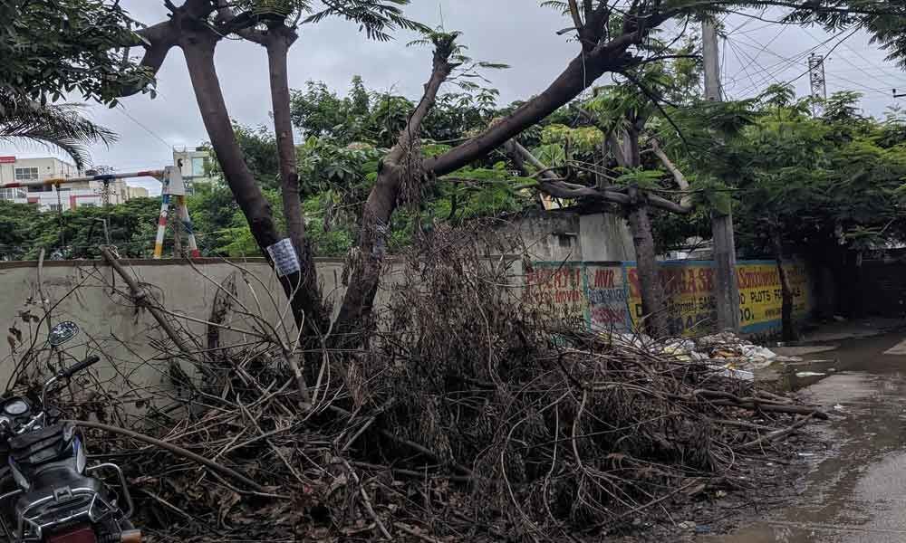 Delay in clearing tree branches irks locals