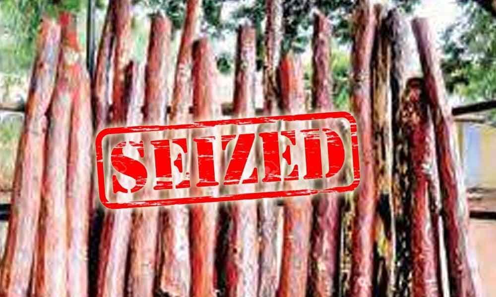 16 red sanders smugglers arrested, 30 logs seized