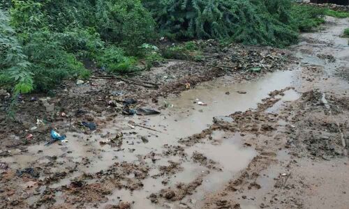 Seasonal diseases spreading fast