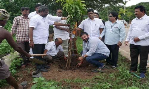 Call to protect environment: MLA Jakkampudi Raja
