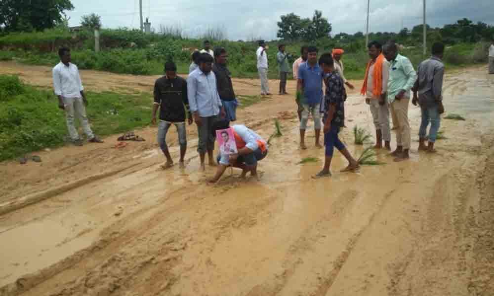 BJP activists plant paddy on Damargidda-Narayanpet highway