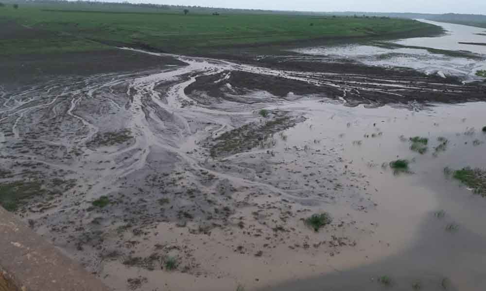 Dry Manjeera causes severe water scarcity
