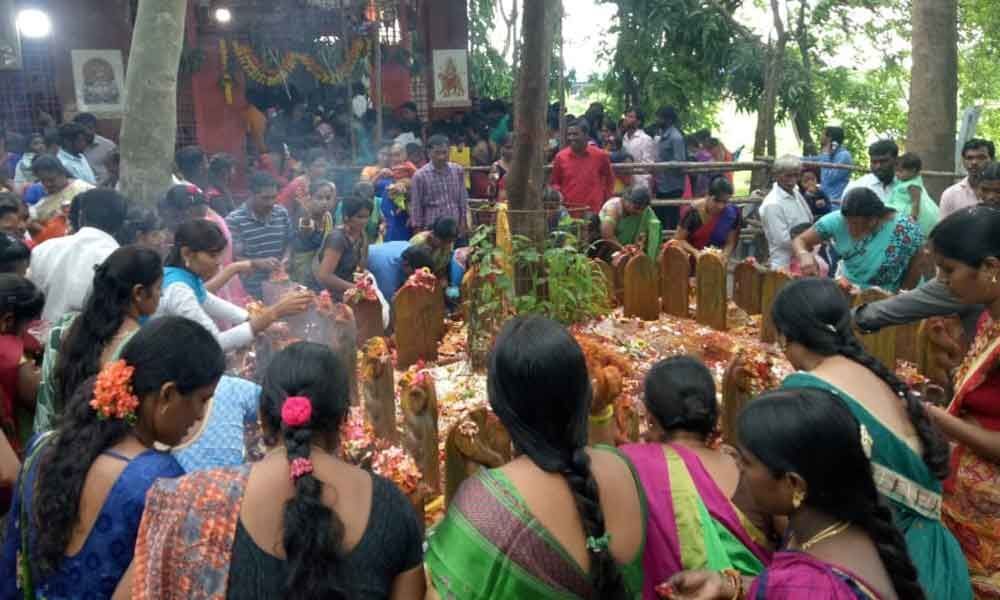 Nagula Panchami celebrated