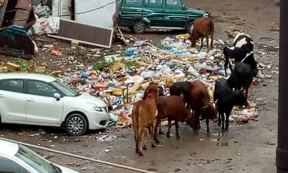 Shivaji Nagar road turns dump yard