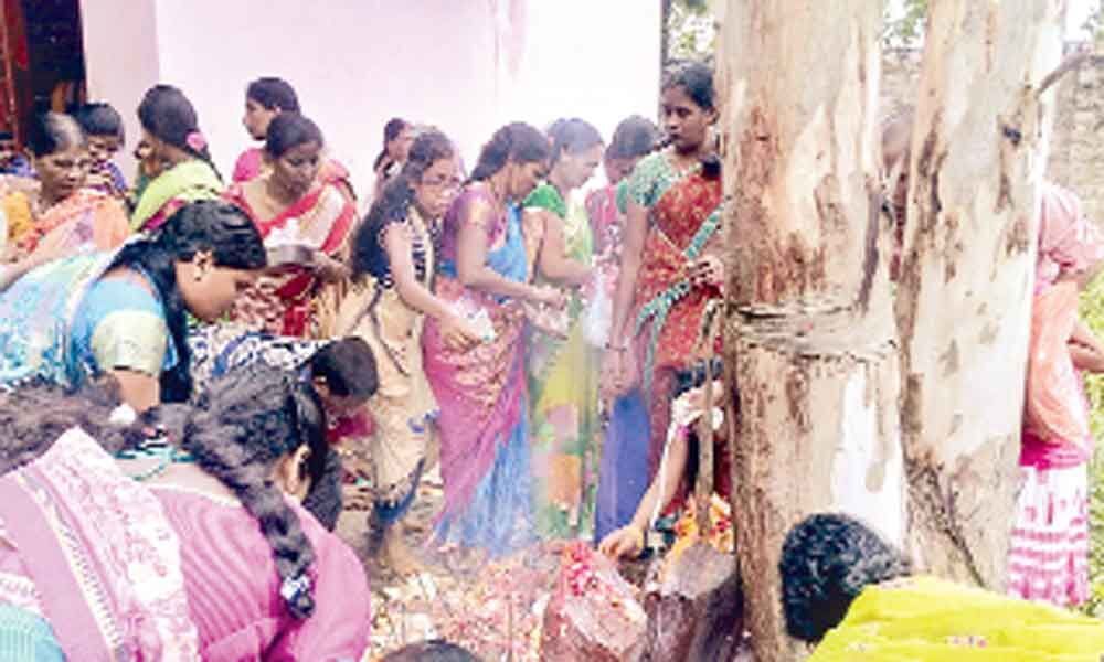 Nagula Panchami festival celebrated